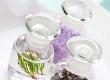 Essential Oils and Herbs for Avoiding Dry Skin