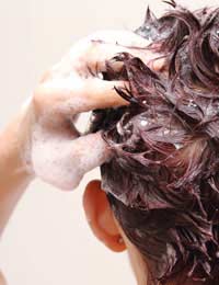 Shampoo Hair Scalp Dermatitis Doctor